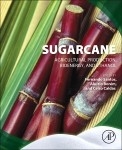 Sugarcane - 