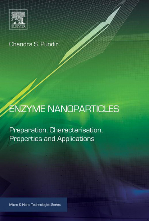 Enzyme Nanoparticles -  Chandra S. Pundir