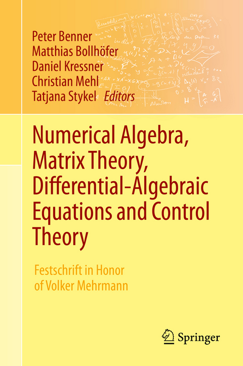 Numerical Algebra, Matrix Theory, Differential-Algebraic Equations and Control Theory - 