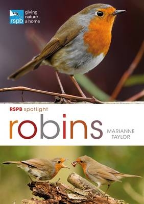 RSPB Spotlight: Robins -  Taylor Marianne Taylor