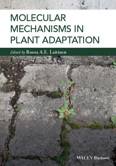 Molecular Mechanisms in Plant Adaptation - Roosa Laitinen