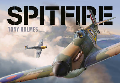 Spitfire -  Tony Holmes