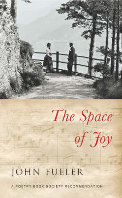 Space of Joy -  JOHN FULLER