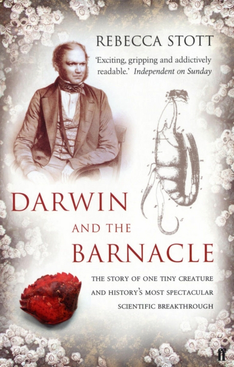 Darwin and the Barnacle -  Rebecca Stott