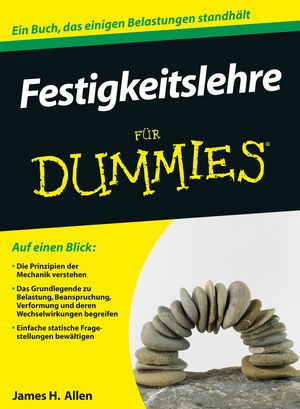 Festigkeitslehre für Dummies - James H. Allen