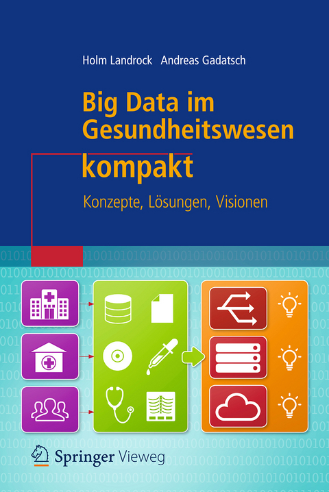 Big Data im Gesundheitswesen kompakt - Holm Landrock, Andreas Gadatsch