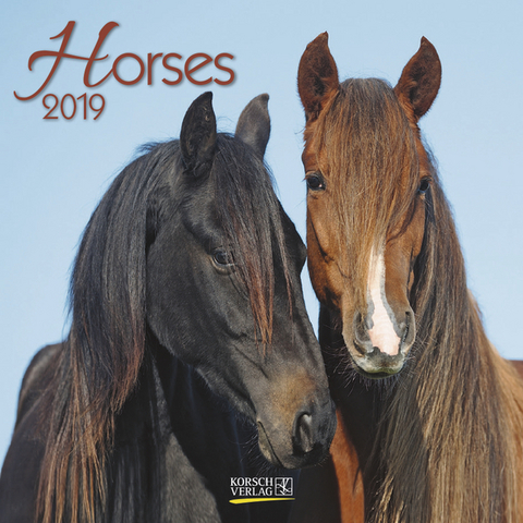 Horses (BK) 224919 2019