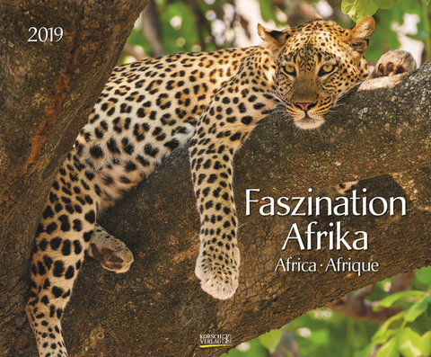 Faszination Afrika 208719 2019