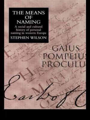 Means Of Naming -  Stephen Wilson