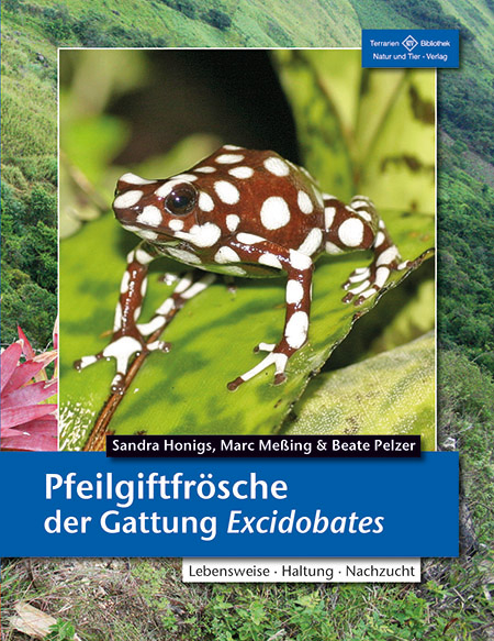 Pfeilgiftfrösche der Gattung Excidobates - Sandra Honigs, Marc Meßing, Beate Pelzer