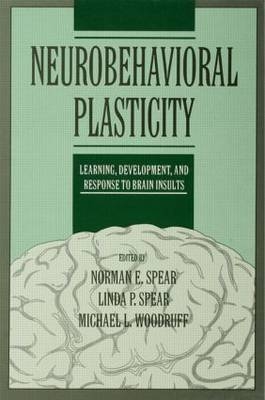 Neurobehavioral Plasticity - 