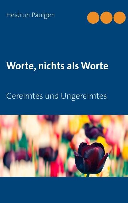 Worte, nichts als Worte - Heidrun Päulgen