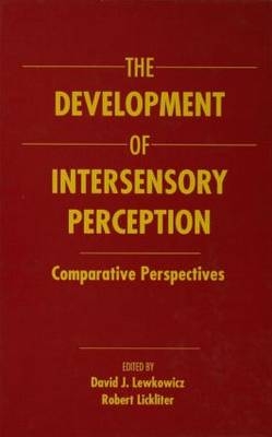 The Development of Intersensory Perception - 