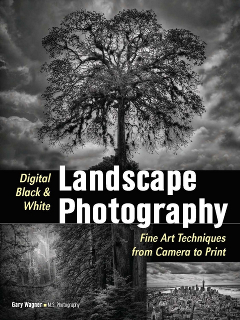 Digital Black & White Landscape Photography - 