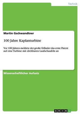 100 Jahre Kaplanturbine - Martin Gschwandtner