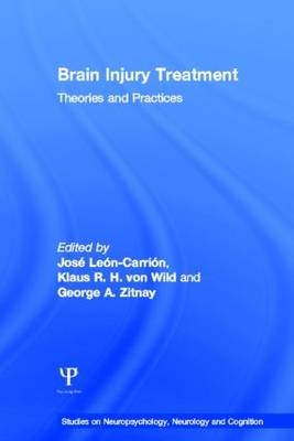 Brain Injury Treatment -  Jose Leon-Carrion,  Klaus R. H. von Wild,  George A. Zitnay
