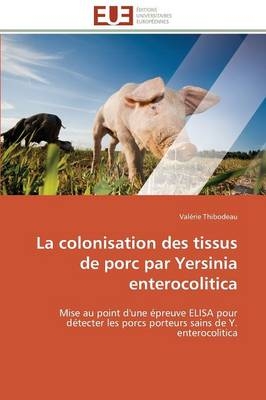 La colonisation des tissus de porc par Yersinia enterocolitica - Valérie Thibodeau