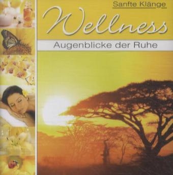 Wellness - Augenblicke der Ruhe, 1 Audio-CD