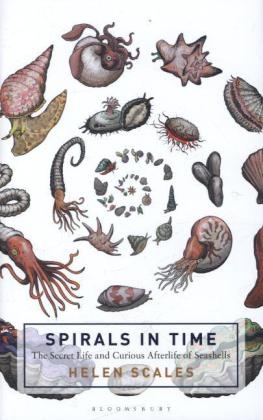 Spirals in Time -  Helen Scales