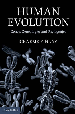 Human Evolution - Graeme Finlay