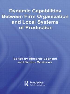 Dynamic Capabilities Between Firm Organisation and Local Systems of Production - 
