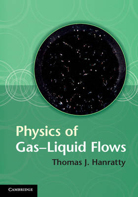 Physics of Gas-Liquid Flows - Thomas J. Hanratty