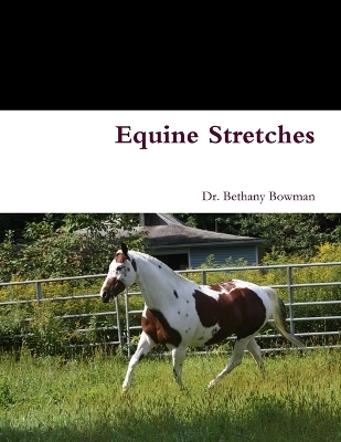 Equine Stretches - Bethany Bowman