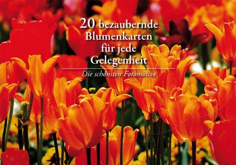 20 bezaubernde Blumenkarten für jede Gelegenheit