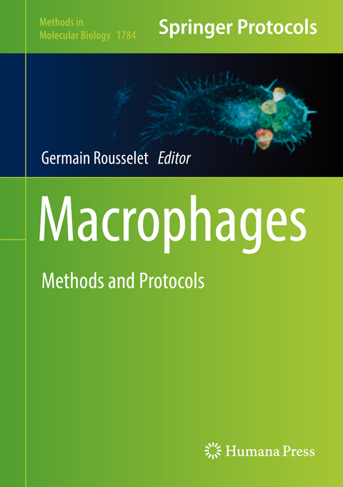 Macrophages - 