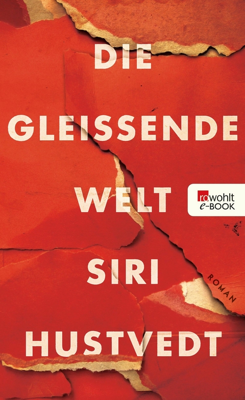 Die gleißende Welt -  Siri Hustvedt