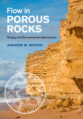 Flow in Porous Rocks -  Andrew W. Woods