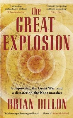 Great Explosion -  Brian Dillon