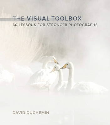 Visual Toolbox, The -  David DuChemin
