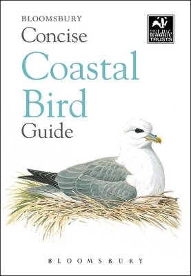 Concise Coastal Bird Guide -  Bloomsbury Publishing