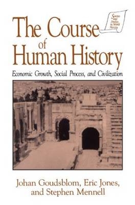 The Course of Human History: Civilization and Social Process -  Johan Goudsblom,  David M Jones,  Stephen Mennell