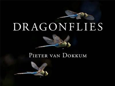 Dragonflies -  van Dokkum Pieter van Dokkum