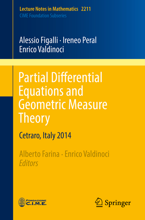 Partial Differential Equations and Geometric Measure Theory - Alessio Figalli, Ireneo Peral, Enrico Valdinoci