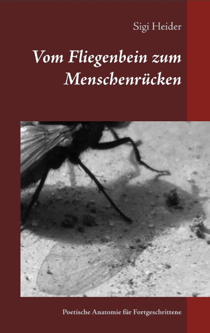 Vom Fliegenbein zum Menschenrücken - Sigi Heider