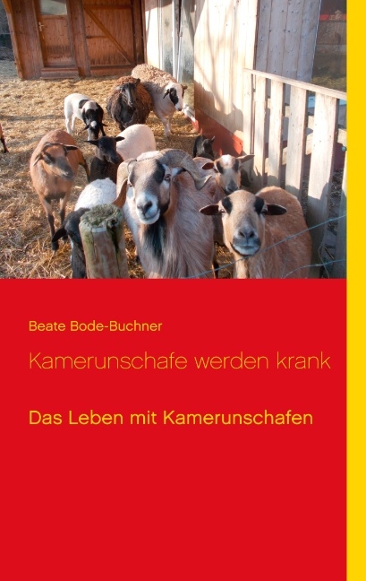 Kamerunschafe werden krank - Beate Bode-Buchner