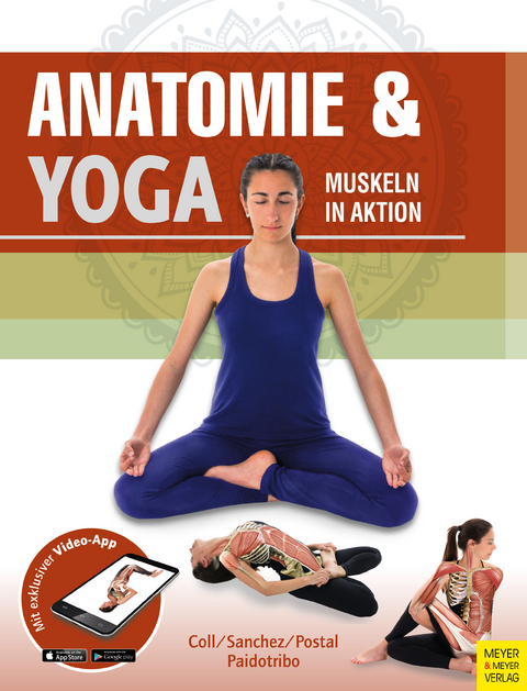 Anatomie & Yoga - 