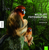Wildlife Fotografien des Jahres – Portfolio 28 -  Natural History Museum