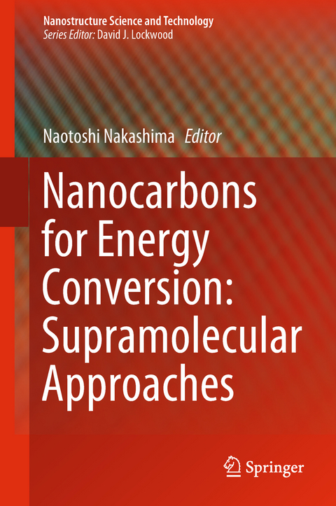 Nanocarbons for Energy Conversion: Supramolecular Approaches - 