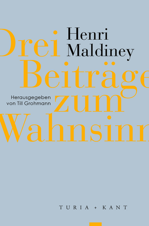 Drei Beiträge zum Wahnsinn - Henri Maldiney