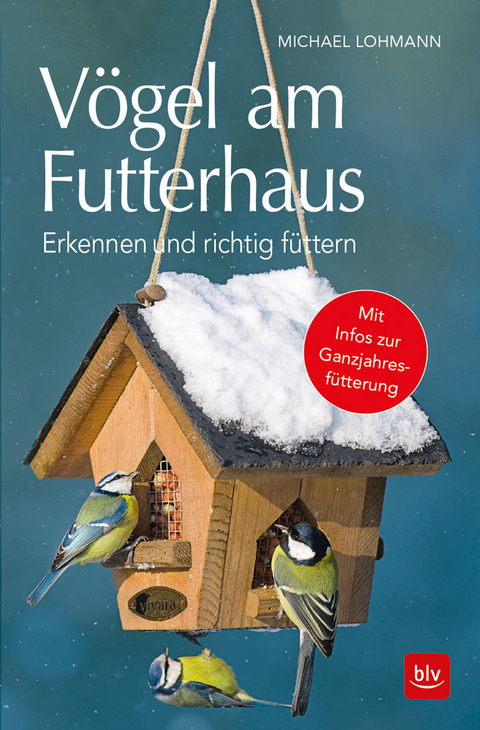 Vögel am Futterhaus - Michael Lohmann