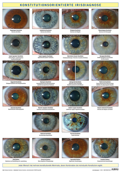 Konstitutionsorientierte Irisdiagnose - Friedemann Garvelmann