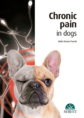 Chronic Pain in Dogs - Belén Ruano Puente
