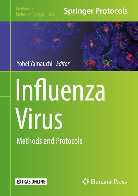 Influenza Virus - 