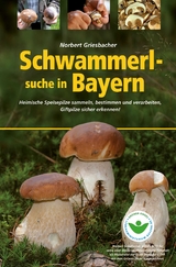 Schwammerlsuche in Bayern - Norbert Griesbacher