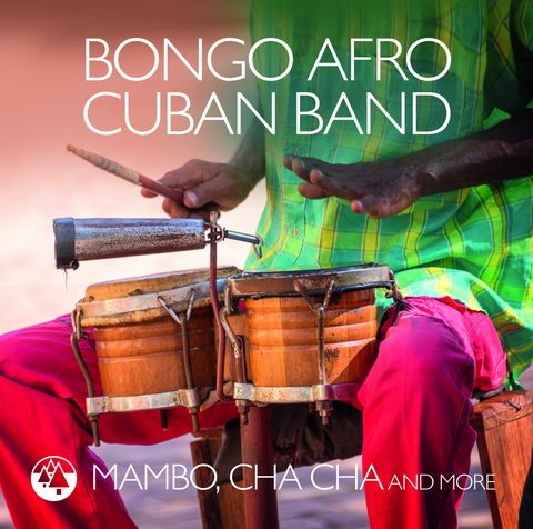 Mambo, Cha Cha And More - 