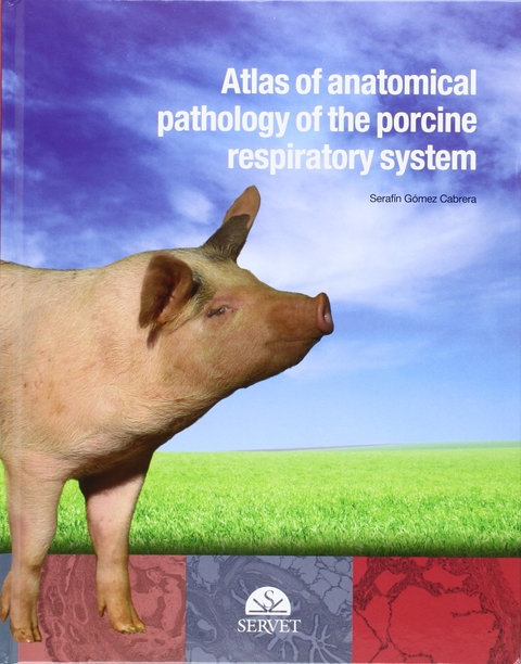 Atlas of anatomical pathology of the porcine respiratory system - Serafín Gómez Cabrera